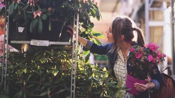 Mulher Comprando Flores Uma Loja Jardim Iluminada Pelo Sol Jovem — Vídeo de Stock