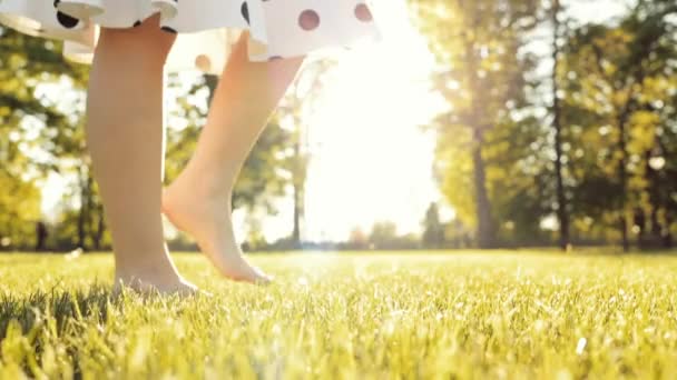 Pés Mulher Descalços Caminhando Grama Verde Parque Cidade Low Motion — Vídeo de Stock
