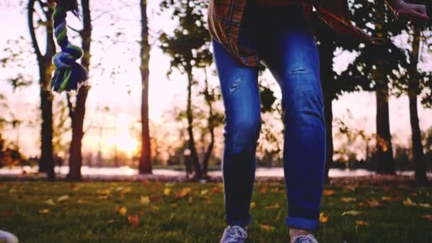 Femme Jouant Avec Chiot Dans Parc Motion Lent Stabilisé Dynamique — Video