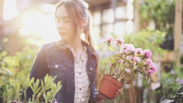 Vrouw Die Bloemen Koopt Een Zonovergoten Tuinwinkel Jonge Vrouw Winkelen — Stockvideo