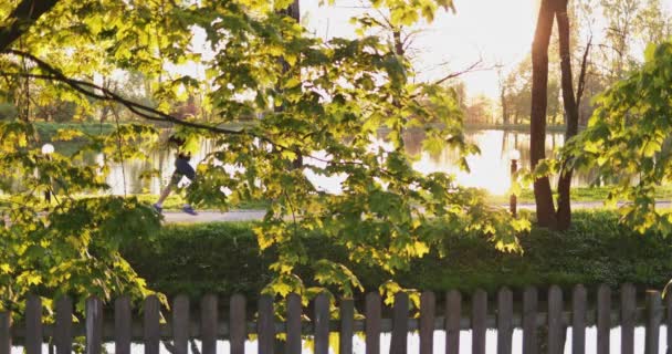 Golden Autumn Leaves Landscape Dolly Shot Stezka Parku Pokrytá Spadanými — Stock video