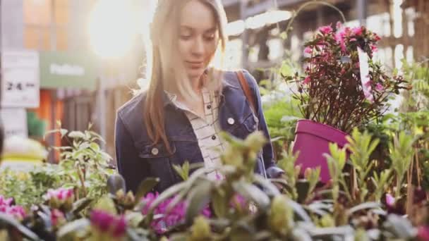 Vrouw Die Bloemen Koopt Een Zonovergoten Tuinwinkel Jonge Vrouw Winkelen — Stockvideo