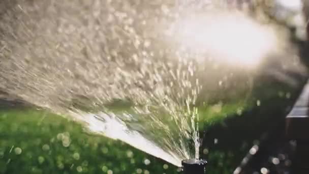 Vattnar Det Gröna Gräset Sakta Backarna Mousserande Sötvatten Sprutar Sprinklern — Stockvideo