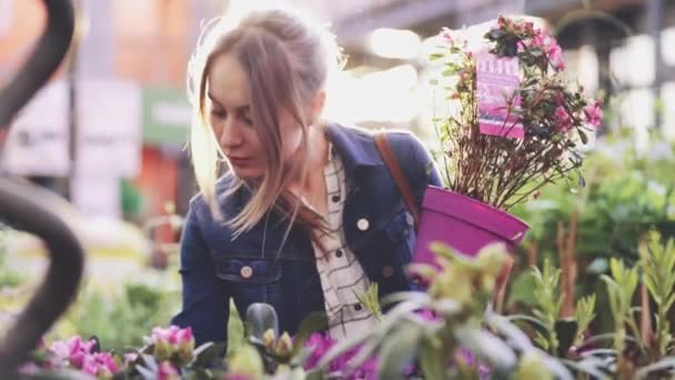 女人在一个阳光灿烂的花园商店里买花 年轻女子在阳光灿烂的植物市场上购买装饰植物 家庭与花园概念 — 图库视频影像