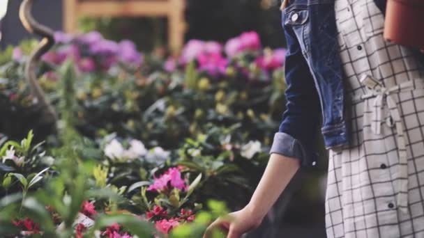 Perempuan Membeli Bunga Sunlit Garden Shop Wanita Muda Belanja Untuk — Stok Video