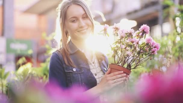 Vrouw Die Bloemen Koopt Een Zonovergoten Tuinwinkel Jonge Vrouw Winkelen — Stockvideo