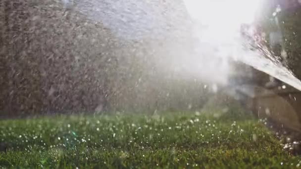 Поливаю Зеленую Траву Медленное Движение Блестящая Пресная Вода Брызгающая Разбрызгивателя — стоковое видео