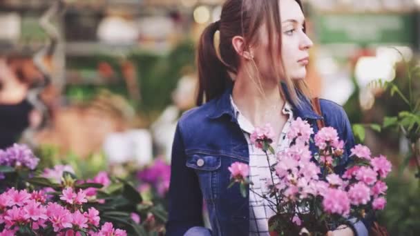 Frau Kauft Blumen Einem Gartengeschäft Sonnenlicht Junge Frau Kauft Auf — Stockvideo