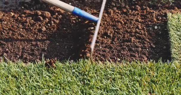 Bahçıvan Bir Tırmıkla Toprağı Temizliyor Yavaş Bir Hareket Yap Tanımlanamayan — Stok video