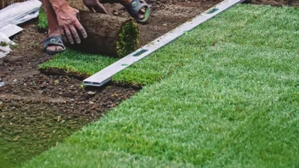 Man Laying Out Rolls Sod Fazendo Gramado Lento Movimento Mãos — Vídeo de Stock