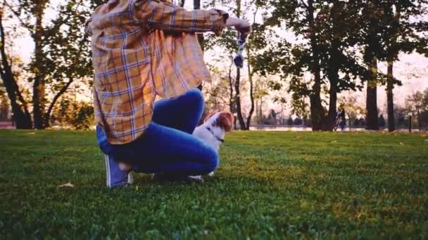 Γυναίκα Παίζει Κουταβάκι Στο Πάρκο Αργή Κίνηση Ακινητοποιημένη Δυναμικη Cavalier — Αρχείο Βίντεο