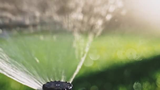 Watering Green Grass Slow Motion Sparkling Fresh Water Spraying Out — Stock Video