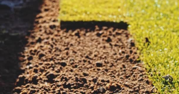 Man Hands Holding Soil Slow Motion Unrecognizable Gardener Hands Dirty — Stock Video