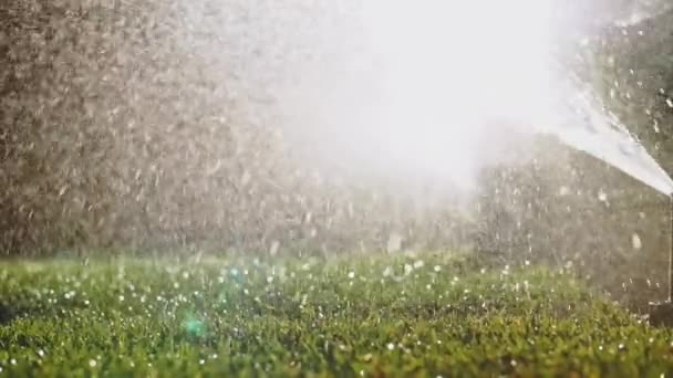 Watering Green Grass Slow Motion Sparkling Fresh Water Spraying Out — Stock Video