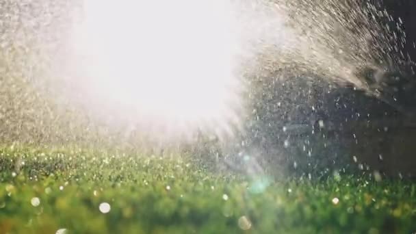 在绿草上浇水 缓慢的运动 洒在草坪上的洒水机喷出的清澈的淡水 夏天园艺 抵御干旱和水危机 生态技术 — 图库视频影像