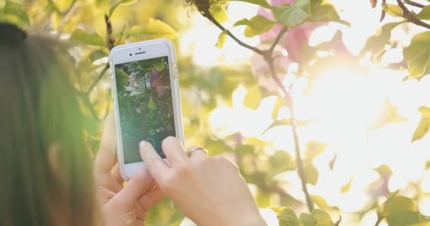 女人在智能手机上放花 缓慢的运动 Lens Flare 用4K Dci分辨率拍摄 在植物园里盛开美丽的春花的电影拍摄 完美的自然背景 — 图库视频影像