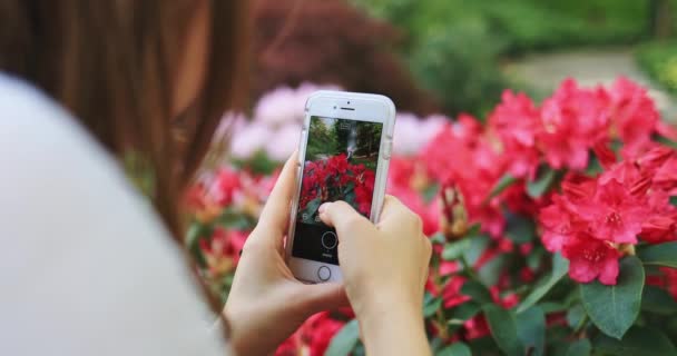 Een Vrouw Die Bloemen Schiet Een Smartphone Vertraag Bewegen Lens — Stockvideo