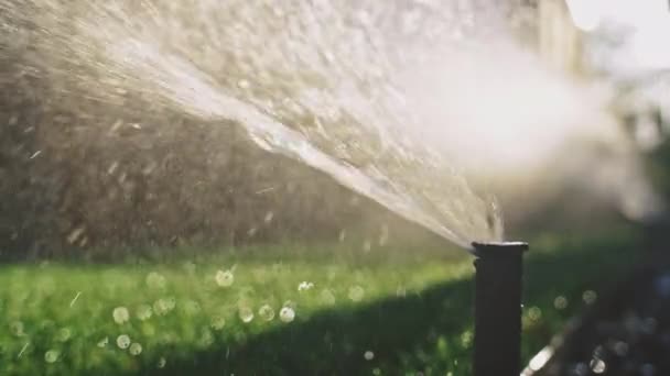 Vattnar Det Gröna Gräset Sakta Backarna Mousserande Sötvatten Sprutar Sprinklern — Stockvideo