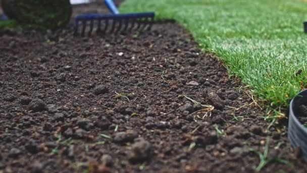 Jardinero Clasificando Suelo Con Rastrillo Lento Movimiento Las Manos Personas — Vídeo de stock