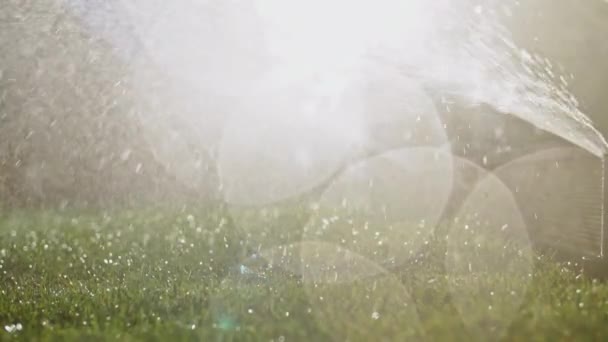 Het Groene Gras Water Geven Vertraag Bewegen Sprankelend Zoet Water — Stockvideo