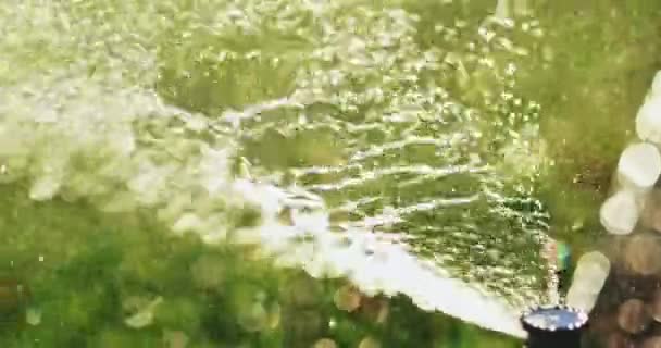 Watering Green Grass Slow Motion Sparkling Fresh Water Spraying Out — Stock Video