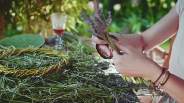 Lavanta Buketi Yapan Kadın. Yavaş bir hareket yap. Tanınmayan kadın çiçekçi elleri saf lavanta çiçekleriyle süsleme yapıyor. Provence Fransız bahçesinde huzurlu bir gecenin tadını çıkaran bir kız..