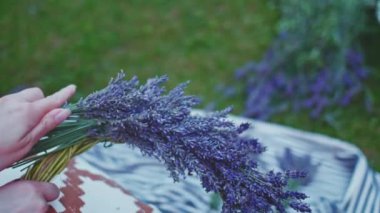 Lavanta Çelengi Yapan Kadın. Yavaş bir hareket yap. Tanınmayan kadın çiçekçi elleri saf lavanta çiçekleriyle süsleme yapıyor. Provence Fransız bahçesinde huzurlu bir gecenin tadını çıkaran bir kız..