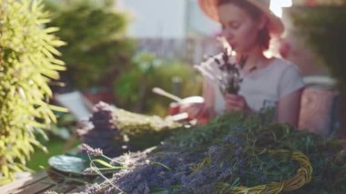 Lavanta Buketi Yapan Kadın. Yavaş bir hareket yap. Çiçekçi kadın elleri saf lavanta çiçekleriyle süsleme yapıyor. Provence Fransız bahçesinde huzurlu bir gecenin tadını çıkaran bir kız..