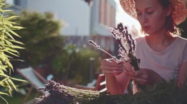 Lavanta Buketi Yapan Kadın. Yavaş bir hareket yap. Çiçekçi kadın elleri saf lavanta çiçekleriyle süsleme yapıyor. Provence Fransız bahçesinde huzurlu bir gecenin tadını çıkaran bir kız..