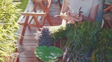 Lavanta Buketi Yapan Kadın. Yavaş bir hareket yap. Tanınmayan kadın çiçekçi elleri saf lavanta çiçekleriyle süsleme yapıyor. Provence Fransız bahçesinde huzurlu bir gecenin tadını çıkaran bir kız..