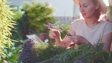 Lavanta Buketi Yapan Kadın. Yavaş bir hareket yap. Çiçekçi kadın elleri saf lavanta çiçekleriyle süsleme yapıyor. Provence Fransız bahçesinde huzurlu bir gecenin tadını çıkaran bir kız..