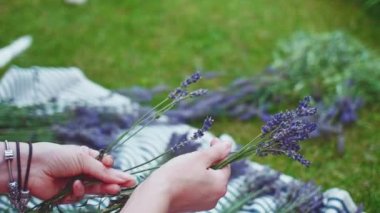 Lavanta Çelengi Yapan Kadın. Yavaş bir hareket yap. Tanınmayan kadın çiçekçi elleri saf lavanta çiçekleriyle süsleme yapıyor. Provence Fransız bahçesinde huzurlu bir gecenin tadını çıkaran bir kız..