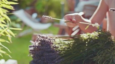 Lavanta Buketi Yapan Kadın. Yavaş bir hareket yap. Tanınmayan kadın çiçekçi elleri saf lavanta çiçekleriyle süsleme yapıyor. Provence Fransız bahçesinde huzurlu bir gecenin tadını çıkaran bir kız..