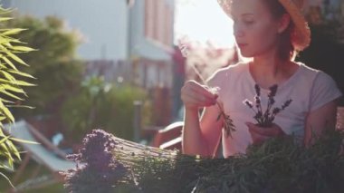 Lavanta Buketi Yapan Kadın. Yavaş bir hareket yap. Çiçekçi kadın elleri saf lavanta çiçekleriyle süsleme yapıyor. Provence Fransız bahçesinde huzurlu bir gecenin tadını çıkaran bir kız..