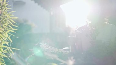 Lavanta Buketi Yapan Kadın. Yavaş bir hareket yap. Çiçekçi kadın elleri saf lavanta çiçekleriyle süsleme yapıyor. Provence Fransız bahçesinde huzurlu bir gecenin tadını çıkaran bir kız..