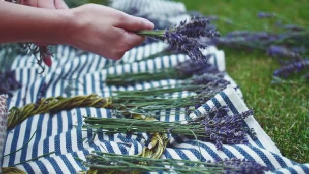 Mulher Fazendo Grinalda Lavanda Lento Movimento Mãos Floristas Femininas Irreconhecíveis — Vídeo de Stock