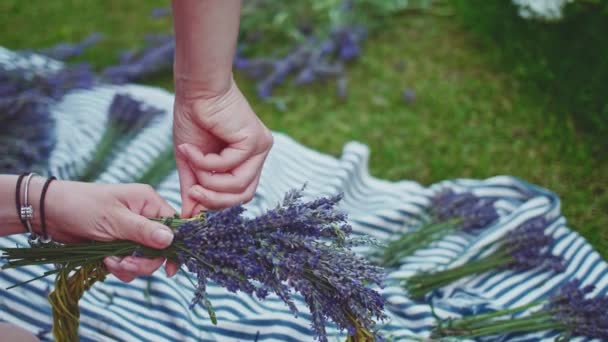 Mujer Haciendo Corona Lavanda Lento Movimiento Manos Florista Femenina Irreconocibles — Vídeos de Stock