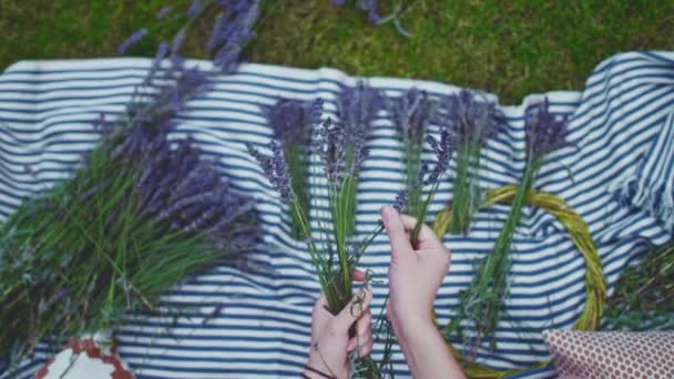 Mujer Haciendo Corona Lavanda Lento Movimiento Manos Florista Femenina Irreconocibles — Vídeos de Stock