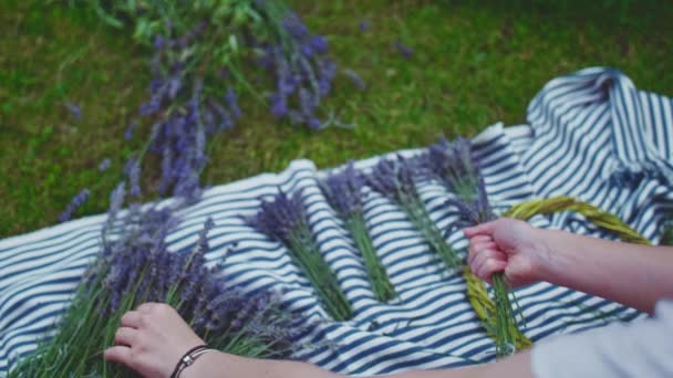 Kobieta Produkująca Lawendowy Gniew Slow Motion Nierozpoznawalne Kobiety Kwiaciarnia Ręce — Wideo stockowe