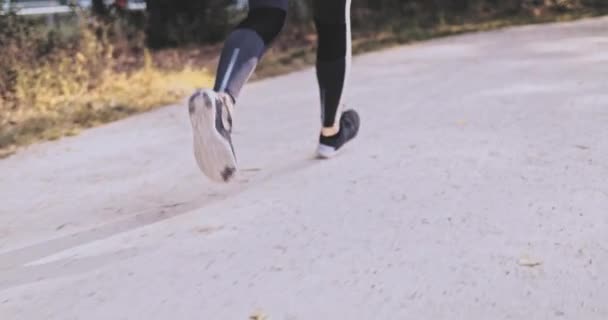 Onherkenbare Runner Woman Voeten rennend in het park Oefenen buiten. Gimbal gestabiliseerd schot 4K. Vertraag bewegen. Sportvrouw draagt blootsvoets sportschoenen tijdens het joggen. Lens Flare. Gezonde levensstijl. — Stockvideo