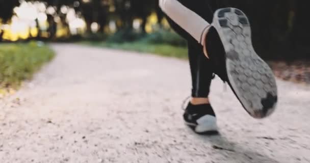 Nerozpoznatelný běžec žena nohy běží v parku cvičení venku. Gimbal stabilizovaný výstřel 4K. Zpomal MOTION. Sportovkyně nosí bosé sportovní boty při běhání. Lens Flare. Zdravý životní styl. — Stock video