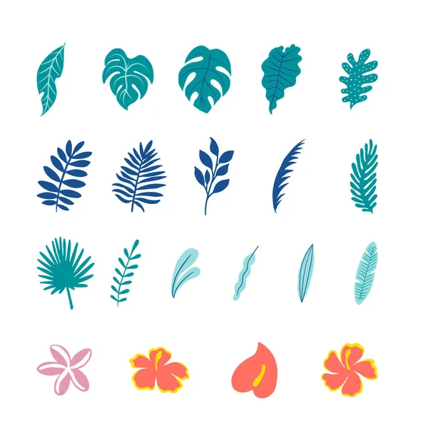 Tropikal Botanik Çizimler Renkli Tropikal Vektör Çizimler — Stok Vektör