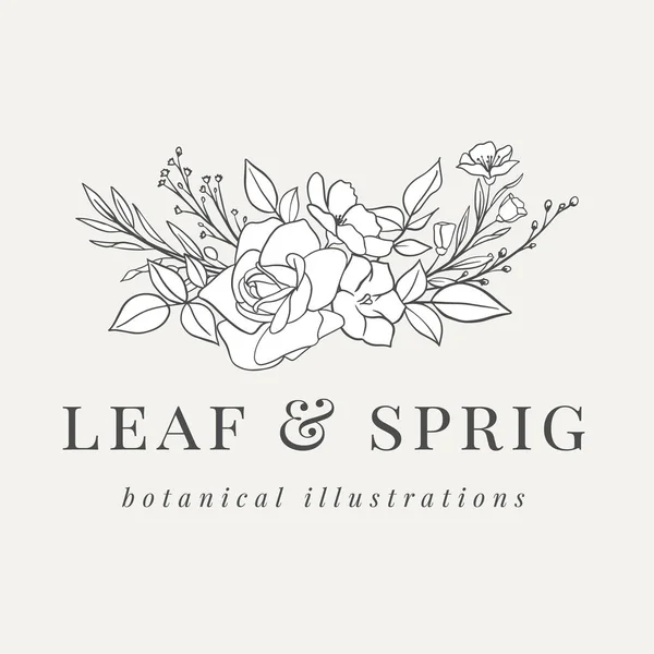 Floral Botanical Logo Illustration Botanical Logo Design Hand Drawn Illustrations — Stock Vector