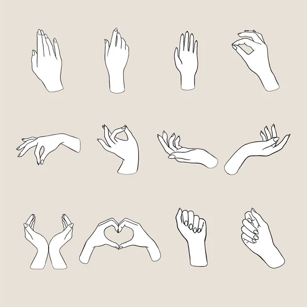 Womens Hands Gestures Vector Illustrations Of Womens Hands Doing