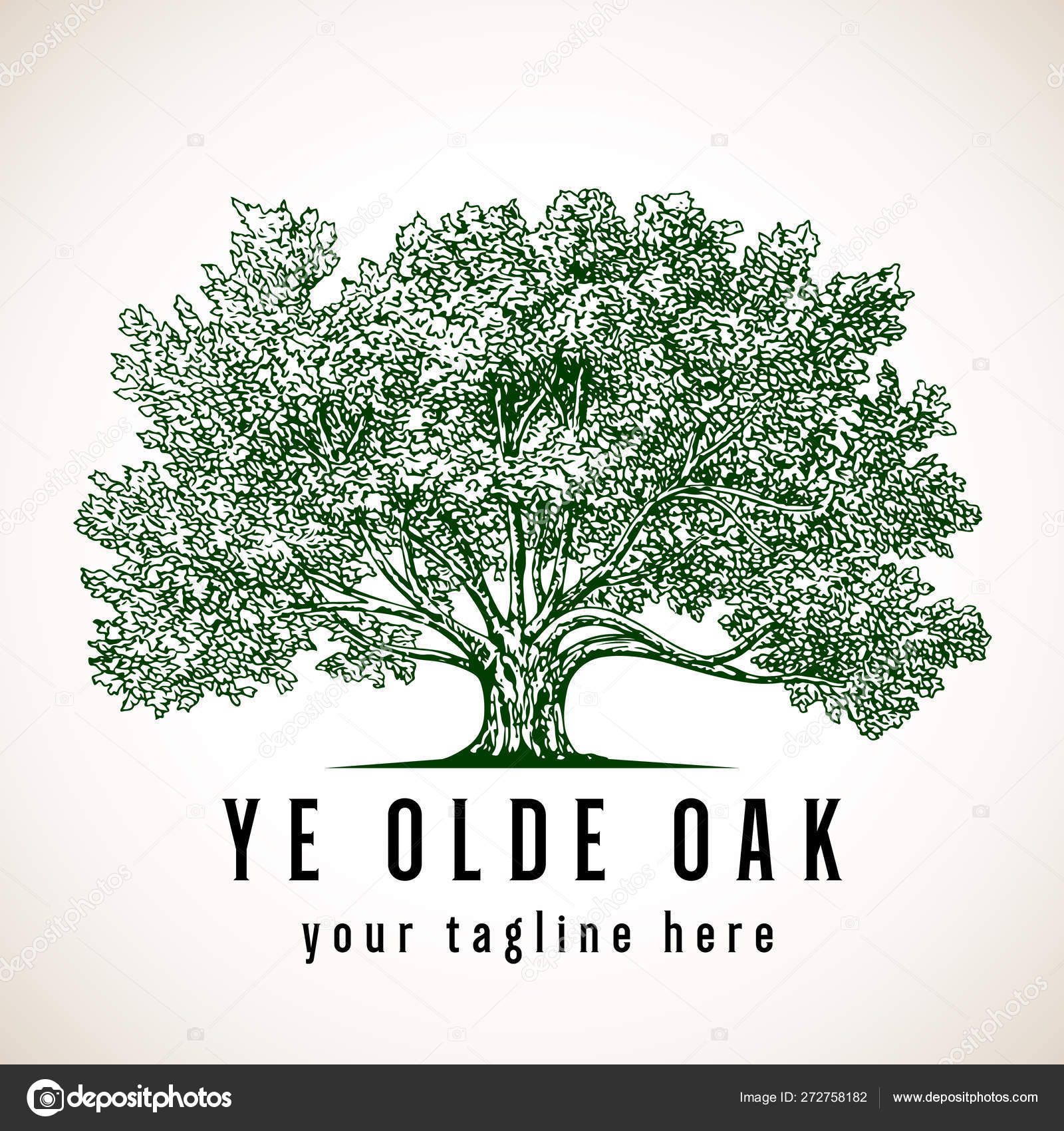 Oak Tree Logo Design