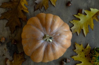 Ortadaki koca balkabağı..
