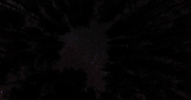 Lapso Tempo Vídeo Das Estrelas Floresta — Vídeo de Stock