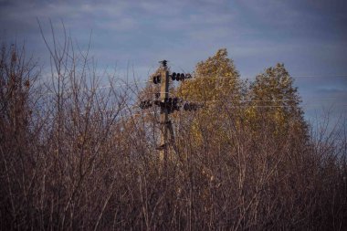 Sonbahar gökyüzünün arka planında elektrik kabloları ve direkleri.