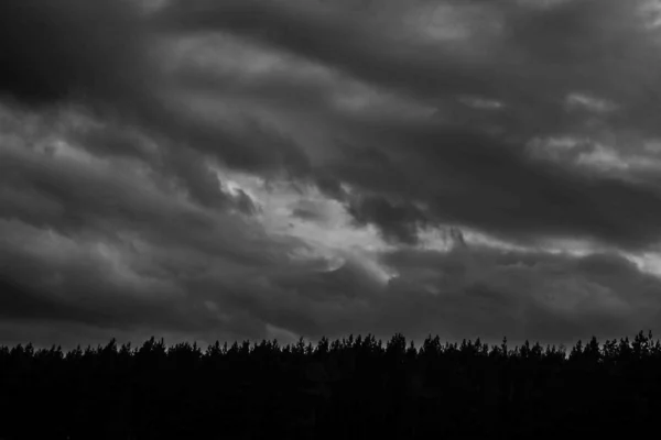 一幅幅漆黑的秋色天空的黑白图像 — 图库照片