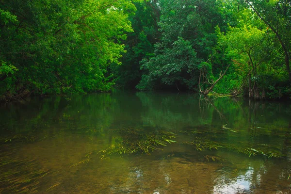 Paisagem Verão Rio Bom Dia Aldeia Russa — Fotografia de Stock